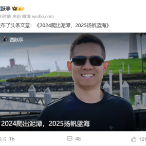 烧光10亿美金的贾跃亭年终总结：2025年要努力兑现承诺 想尽快回国 ...